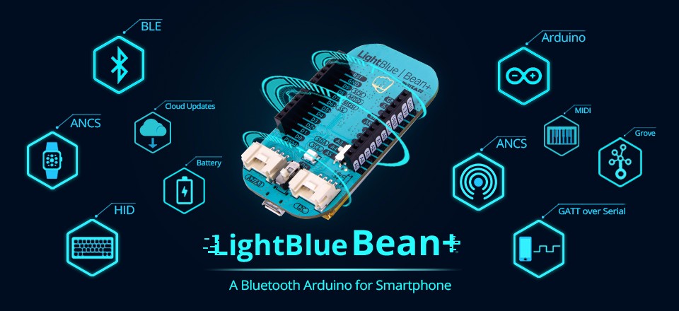 lightblue bean+