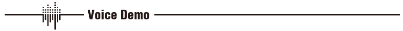 Voice Demo.png